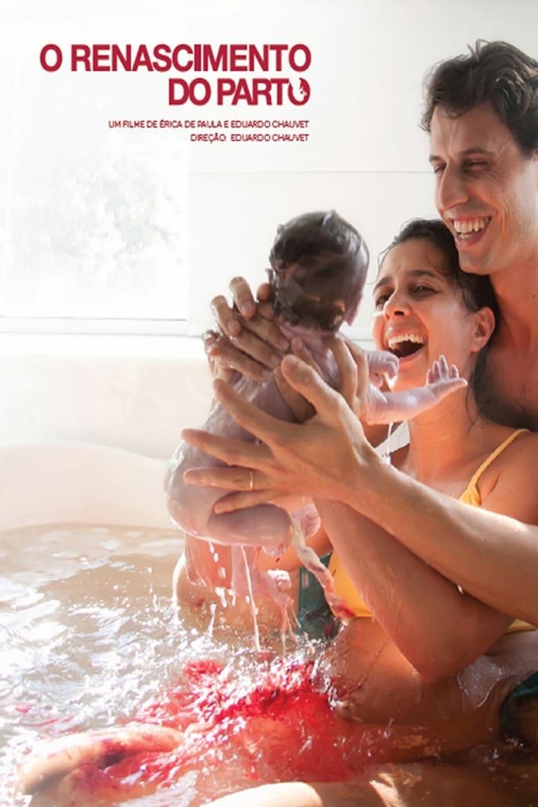 O Renascimento do Parto poster image