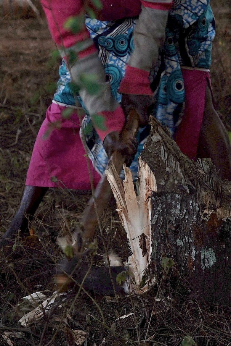 Kukata Miti poster image