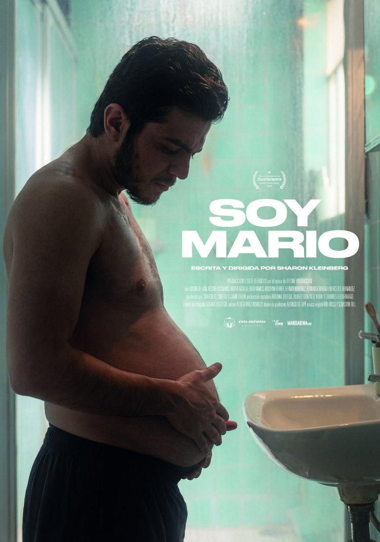 I Am Mario poster image