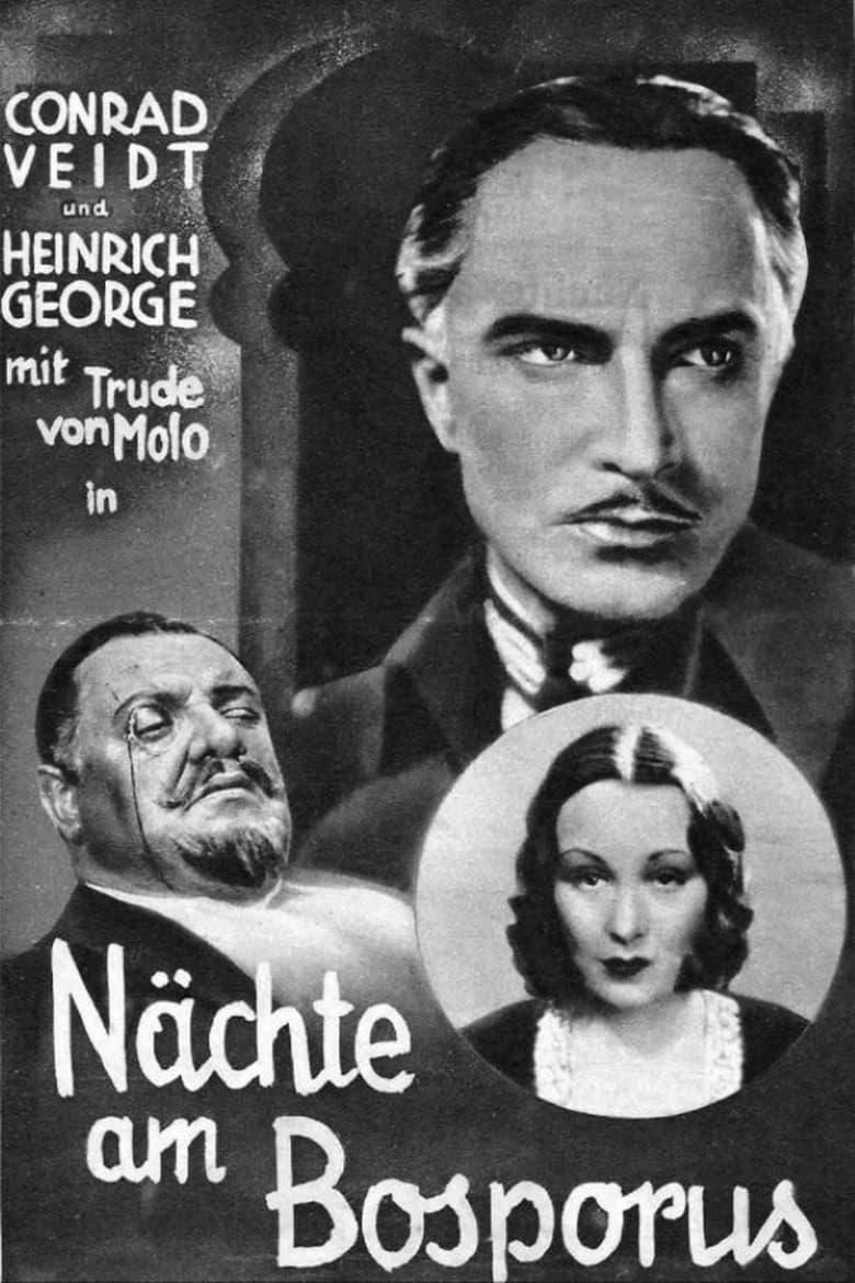 The Man Who Committed the Murder poster image