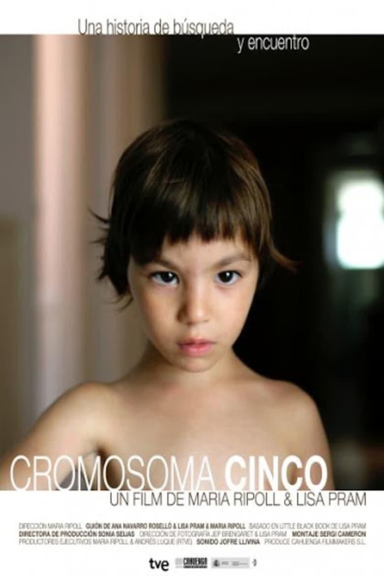 Cromosoma Cinco logo