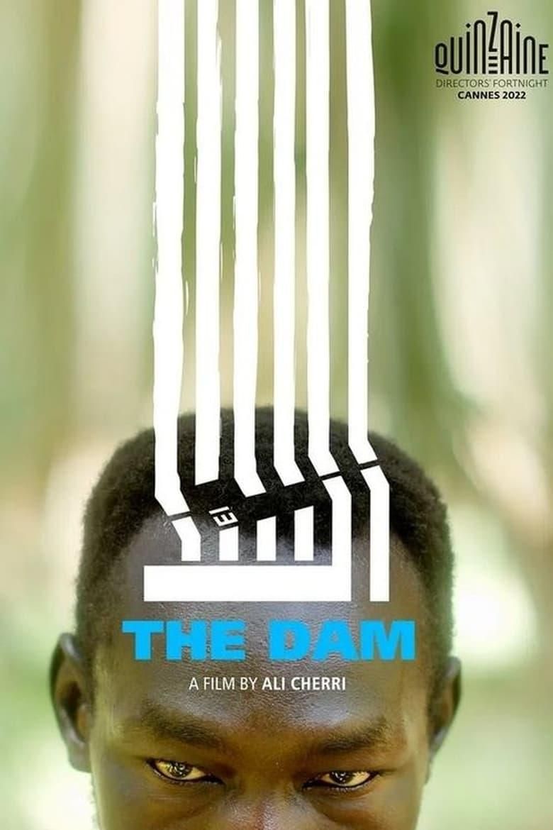 The Dam poster image