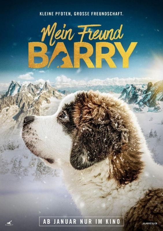 My Friend Barry poster image