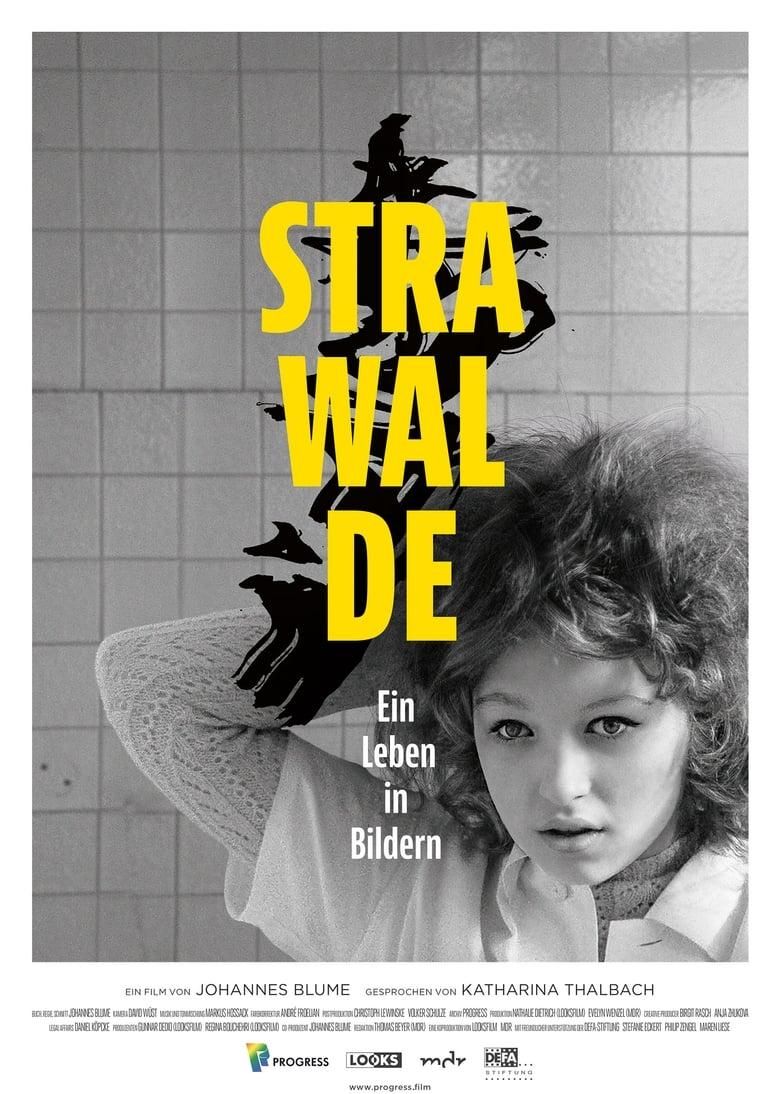 Strawalde - Ein Leben in Bildern poster image