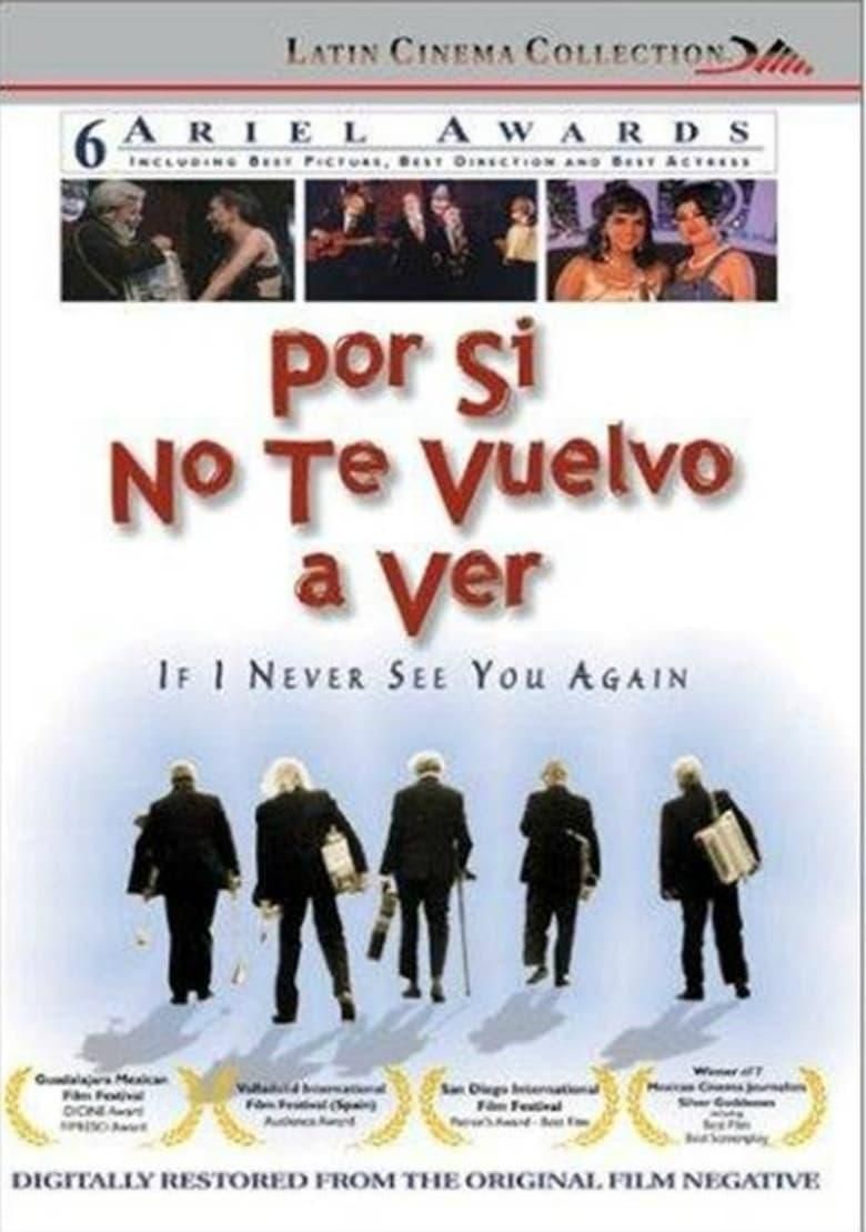 Por si no te vuelvo a ver poster image