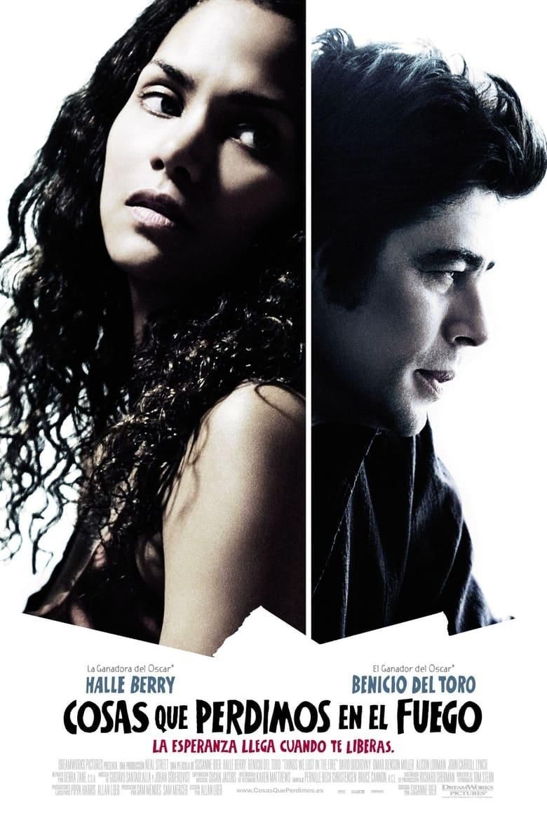 Cosas que perdimos en el fuego poster image