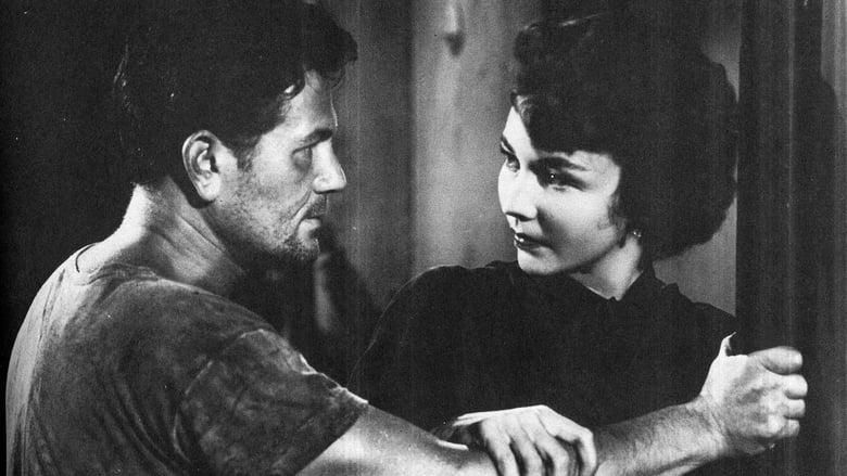 We Were Strangers thumbnail