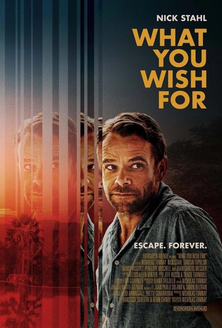 What You Wish For poster image