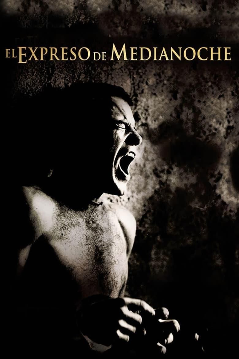 El expreso de medianoche poster image