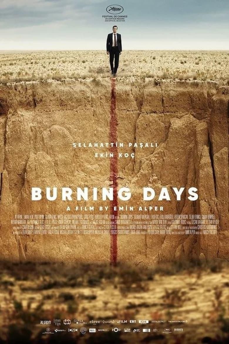 Burning Days logo