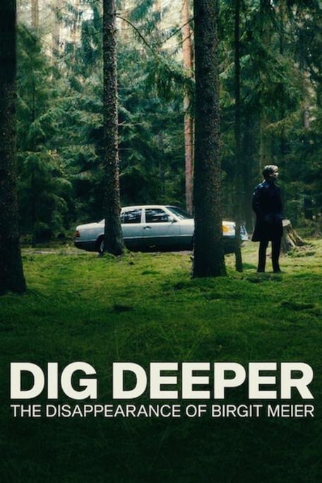 poster for Dig Deeper - Das Verschwinden von Birgit Meier