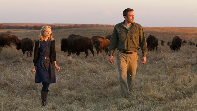 To the Wonder thumbnail