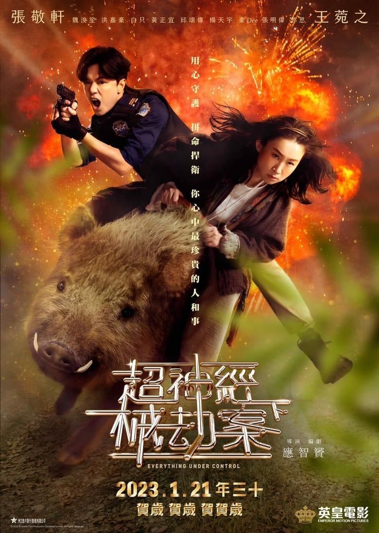 Everything Under Control poster image