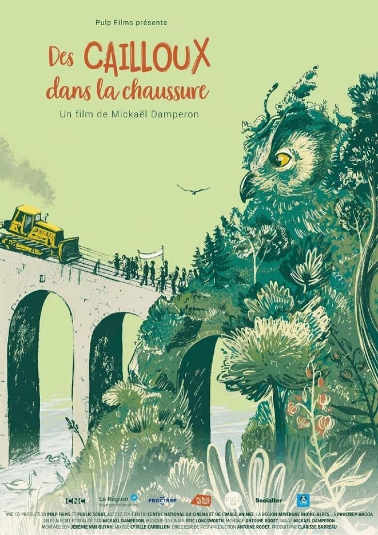 Des cailloux dans la chaussure poster image