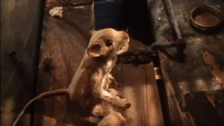 The Mouse and the Motorcycle thumbnail