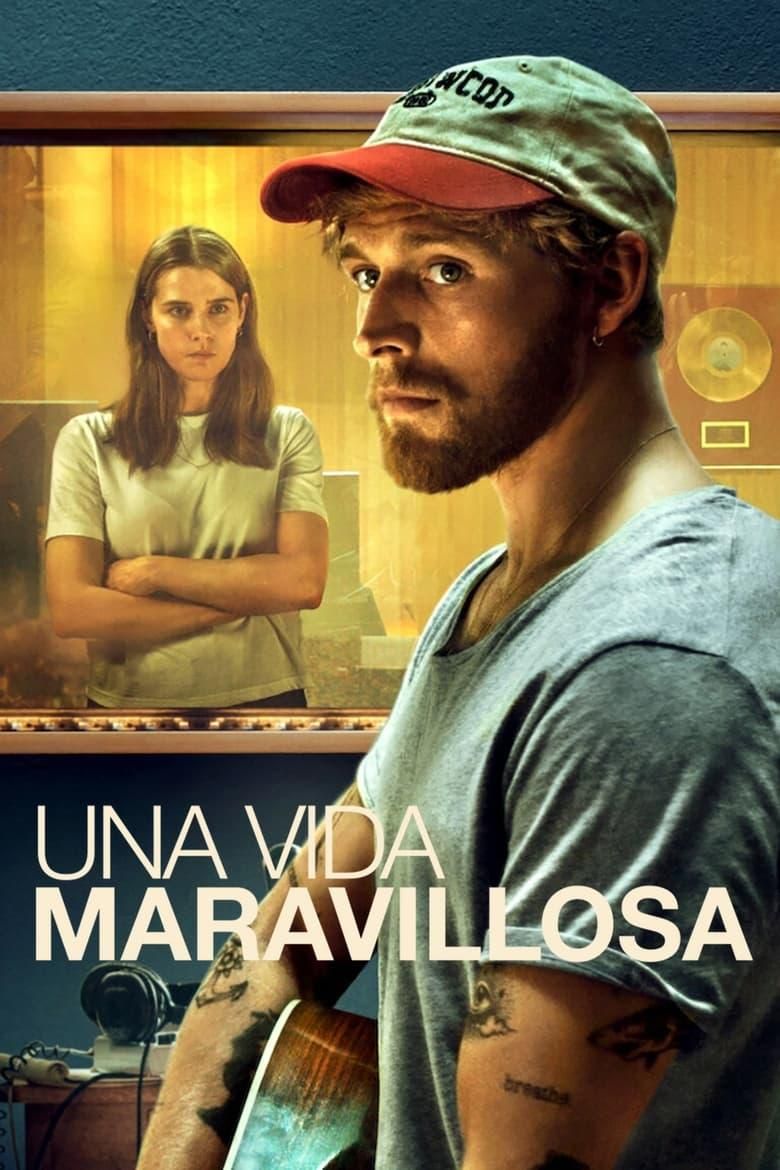Una vida maravillosa poster image