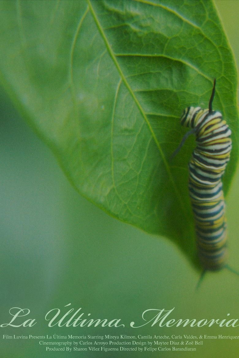 La Última Memoria poster image