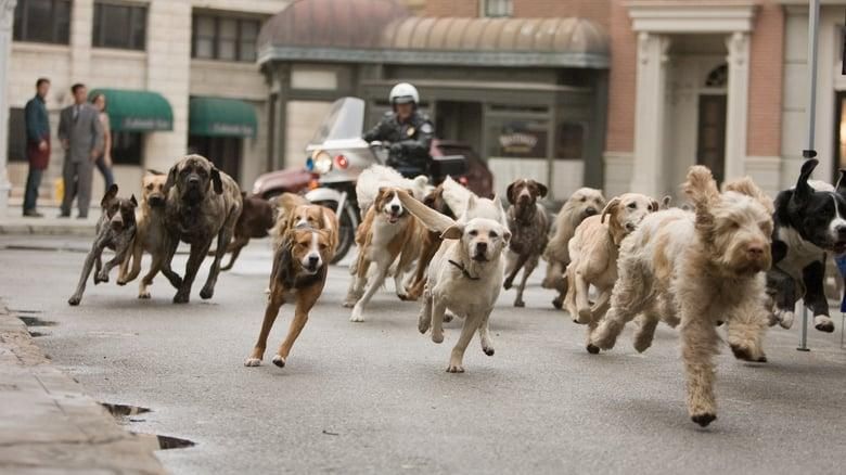 Hotel for Dogs thumbnail