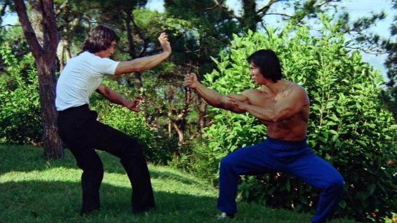 Bruce's Deadly Fingers thumbnail