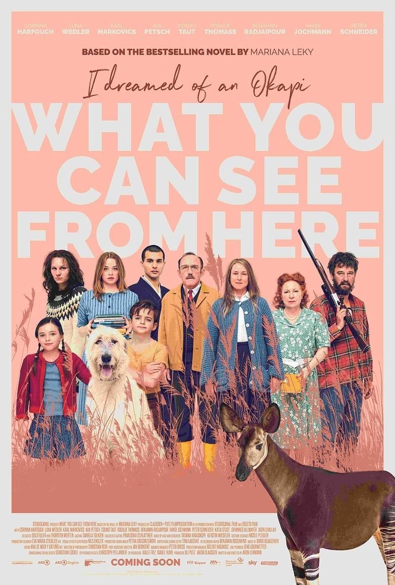 What You Can See from Here poster image