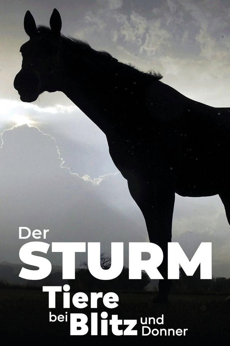 Der Sturm - Tiere bei Blitz und Donner poster image