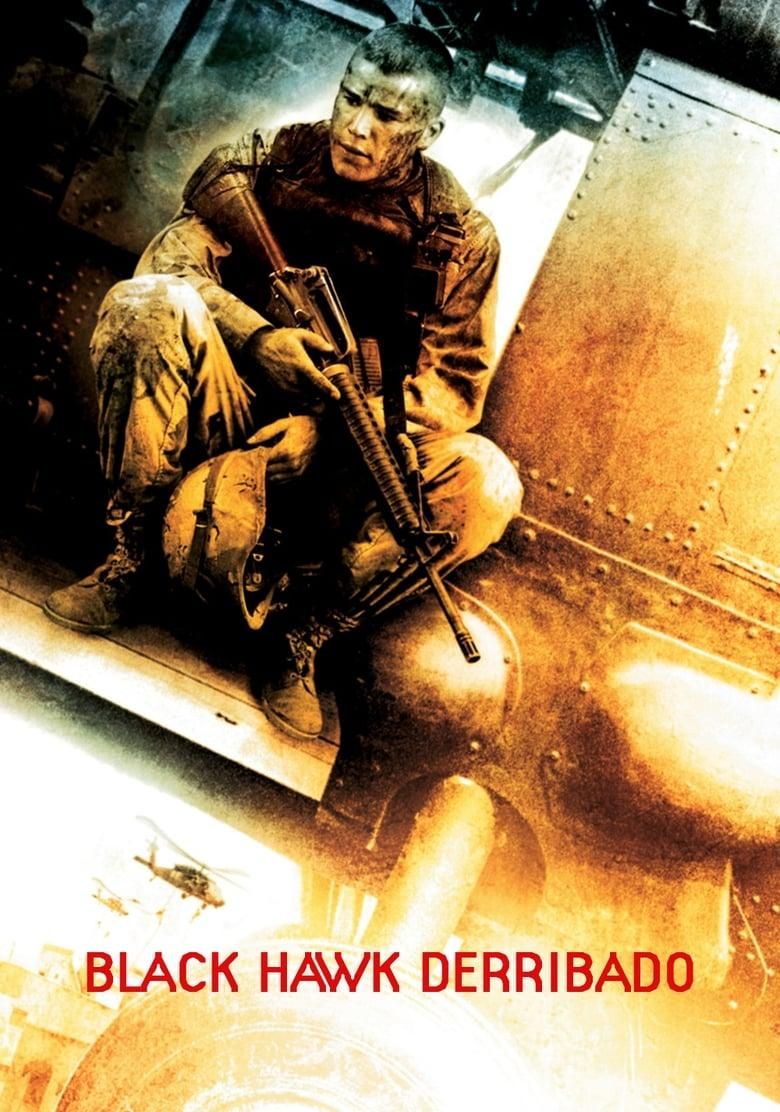 Black Hawk derribado poster image