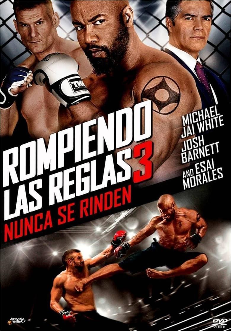 Rompiendo las reglas 3 poster image
