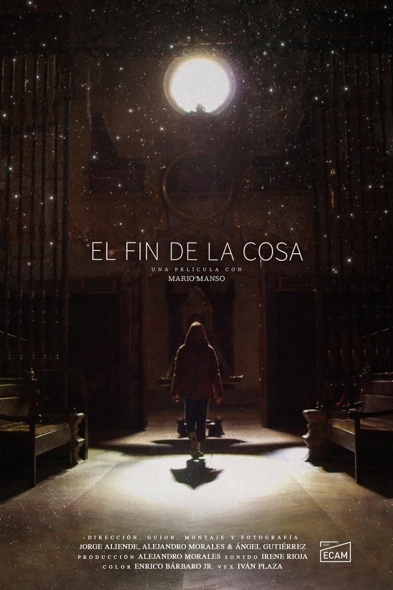 El fin de la cosa poster image