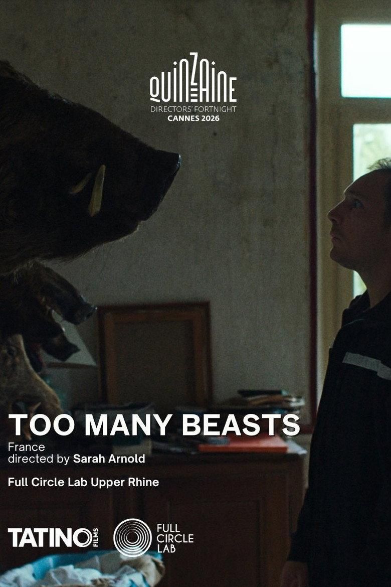 Too Many Beasts poster image