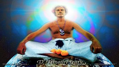 Timothy Leary's Dead thumbnail
