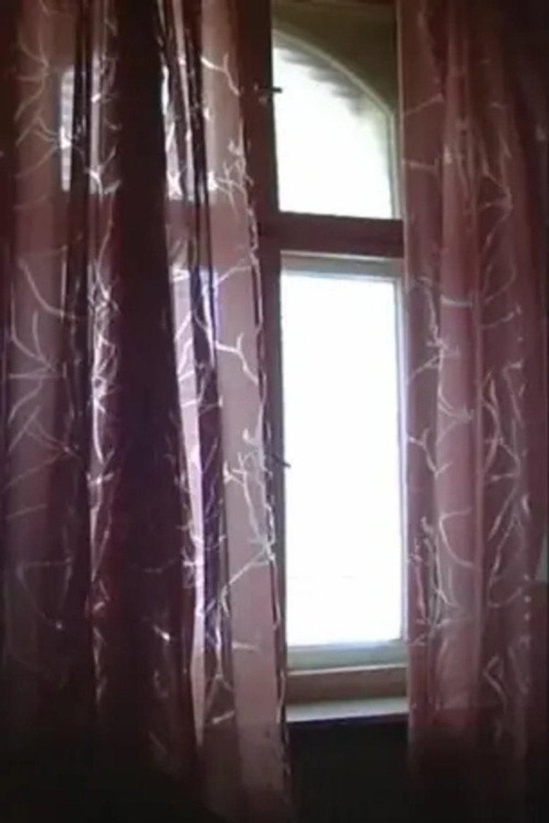 Siegfried poster image