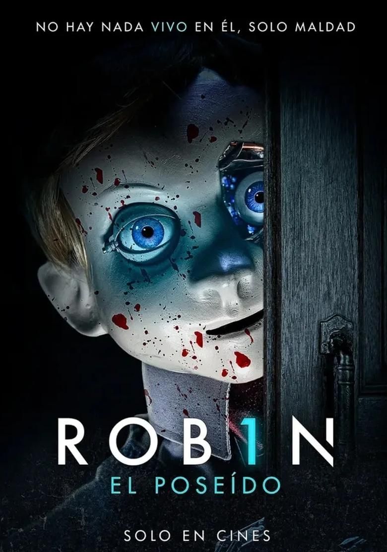 ROB1N poster image