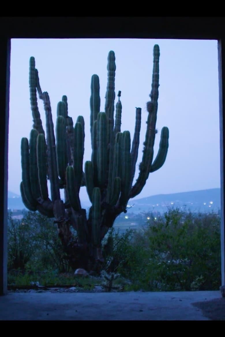 Night of the Coyotes poster image