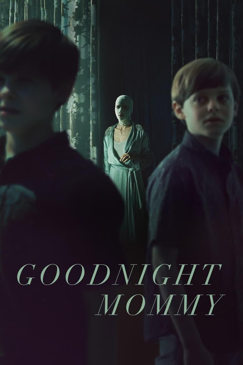 Goodnight Mommy poster image