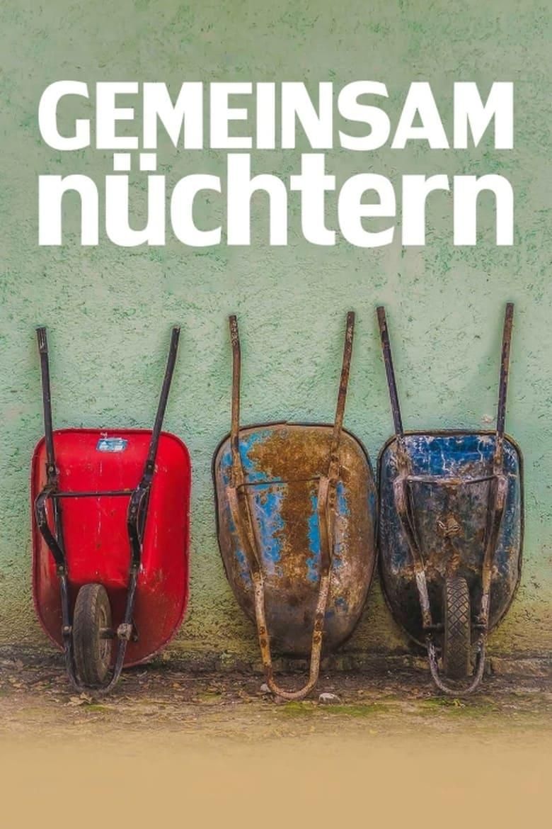 Gemeinsam nüchtern poster image