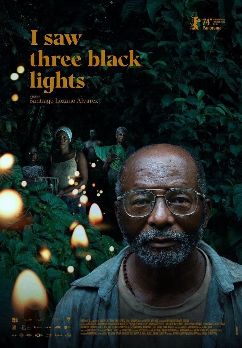 I Saw Three Black Lights poster image