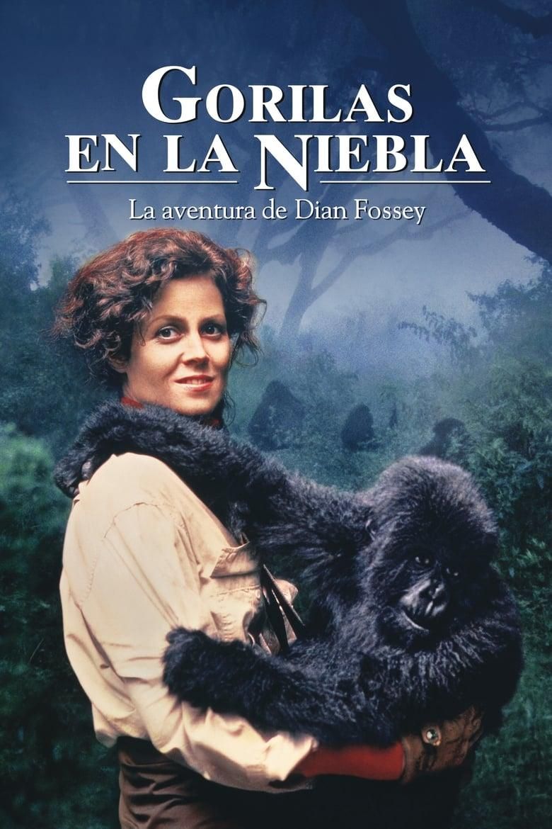Gorilas en la niebla poster image