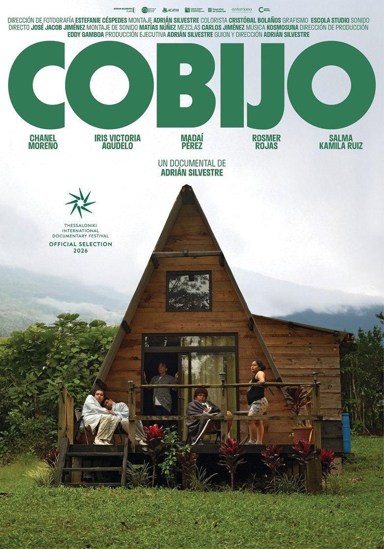 Shelter poster image