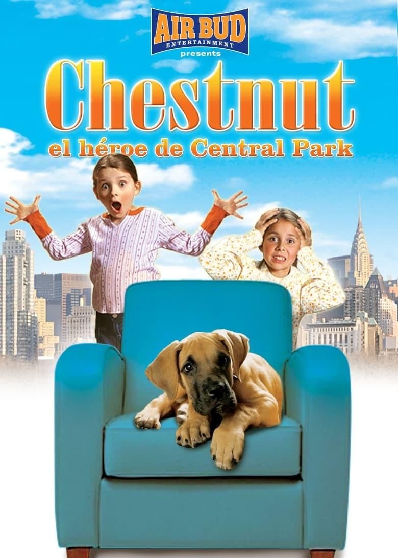 Chestnut: El héroe de Central Park poster image
