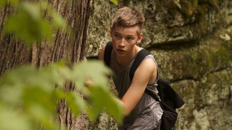 Little Accidents thumbnail