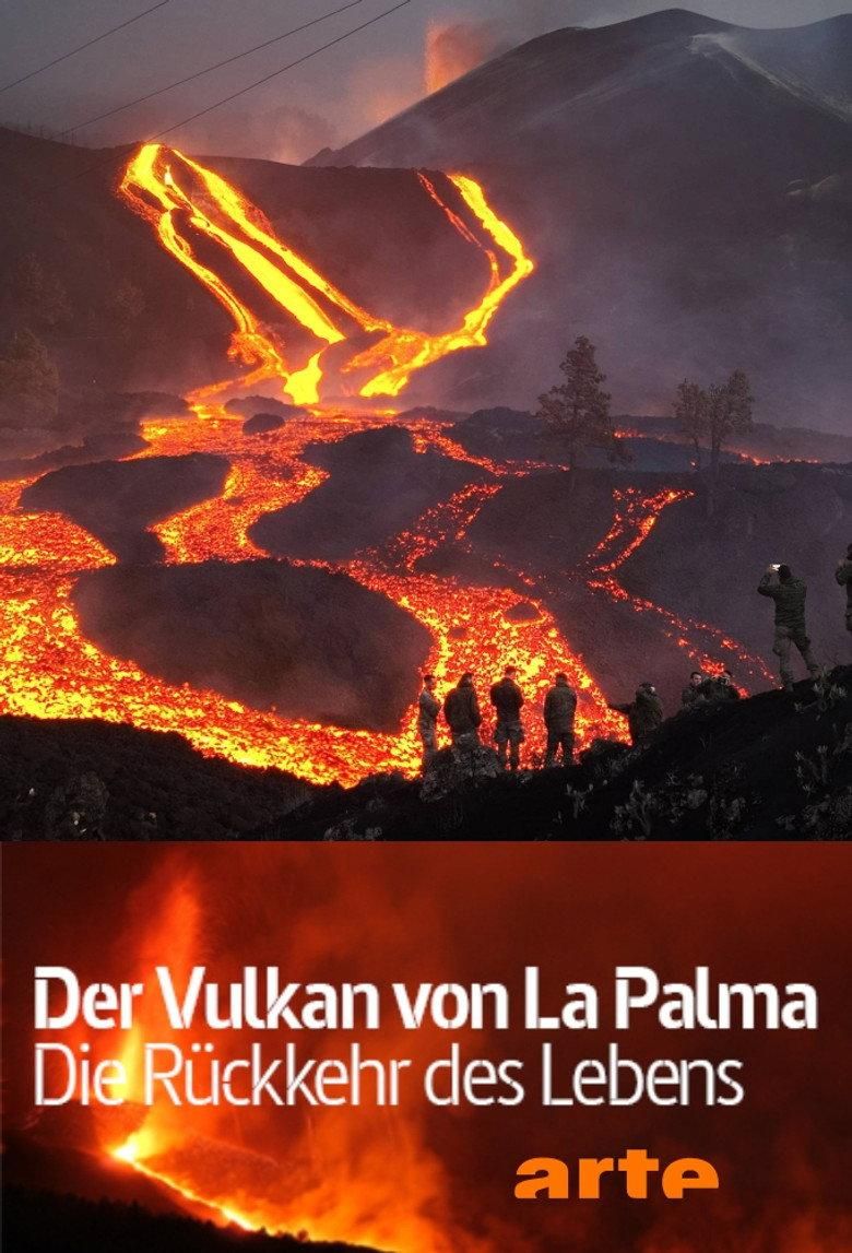 Der Vulkan von La Palma - Die Rückkehr des Lebens poster image