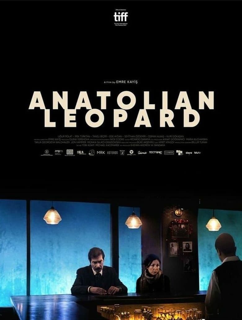 Anatolian Leopard poster image