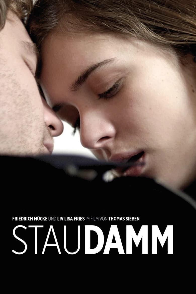 Staudamm logo