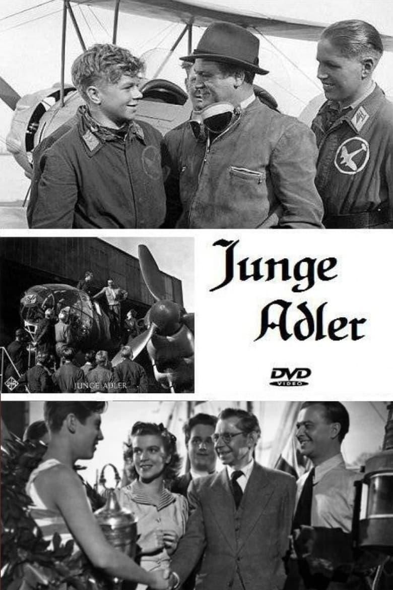 Junge Adler poster image