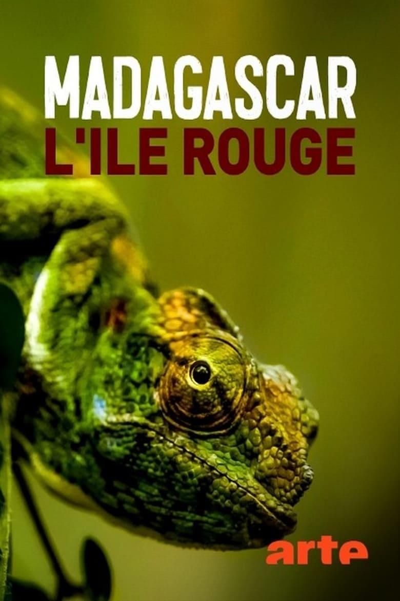 Madagascar, l'île rouge : La jungle des lémuriens poster image