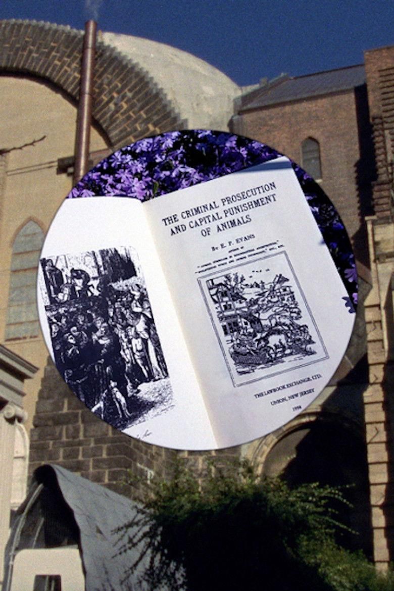 Bugs and Beasts Before the Law poster image