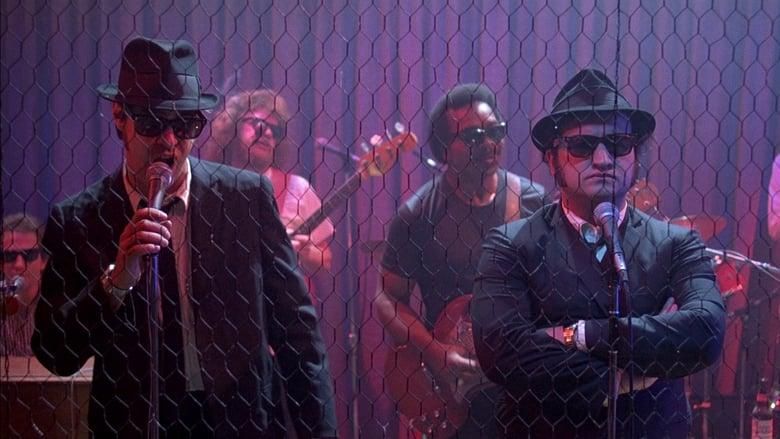 The Blues Brothers hero image