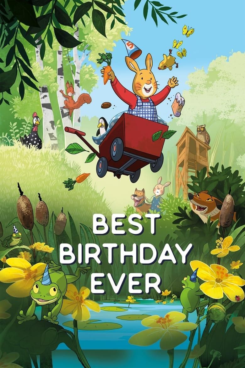 De beste verjaardag ooit poster image