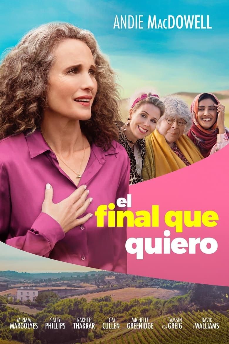 El final que quiero poster image