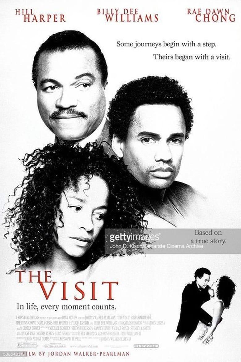 The Visit logo